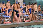 Swim vs Bentley  Wheaton College Swimming & Diving vs Bentley University. - Photo by Keith Nordstrom : Wheaton, Swimming & Diving